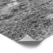 Old Jail Cell Poster (Hoek)