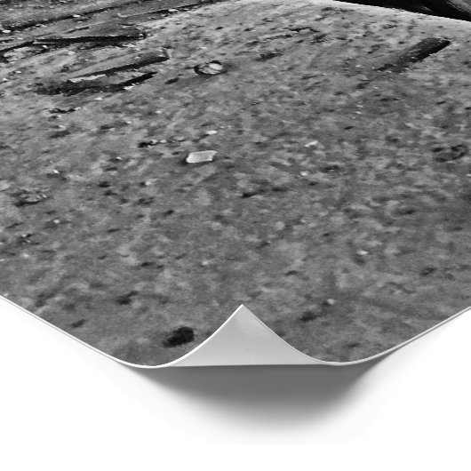 Old Jersey City: Roosevelt Stadium Poster (Hoek)