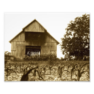 Old Kentucky Tobacco Barn Foto Afdruk
