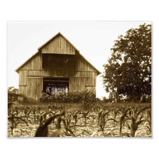 Old Kentucky Tobacco Barn Foto Afdruk (Voorkant)
