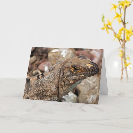 Old Lizard Birthday Kaart (Gele Bloem)