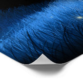 Old Locust Hill Poster (Hoek)