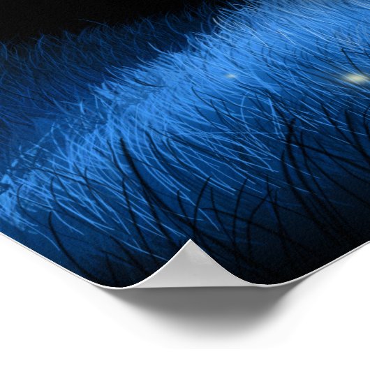 Old Locust Hill Poster (Hoek)