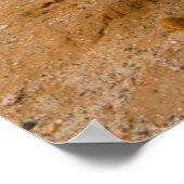 Old Man Cactus portret, Mexico Poster (Hoek)