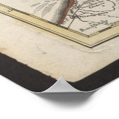 Old Map of Belgium and Netherlands from 1702-1707 Poster (Hoek)