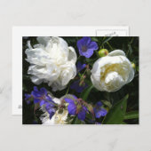 Old Masters Garden Postcard Briefkaart (Voorkant / Achterkant)