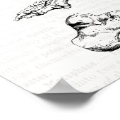 Old Medical Art Human Anatomy Bones of the Foot Poster (Hoek)