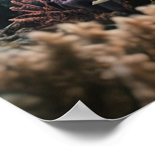 Old Mermaid Poster (Hoek)