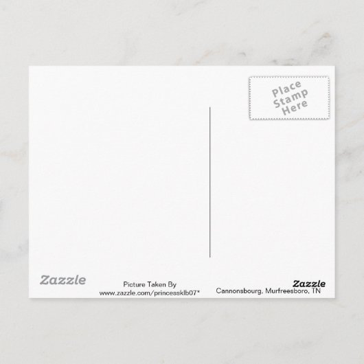 Old Mill en Creek Briefkaart (Achterkant)