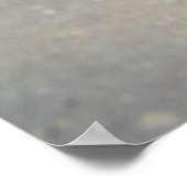 Old Mill Herfsten, Robert H Treman State Park, NY Poster (Hoek)