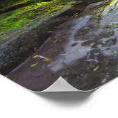 Old Mill Herfsten, Robert Treman State Park, NY Poster (Hoek)