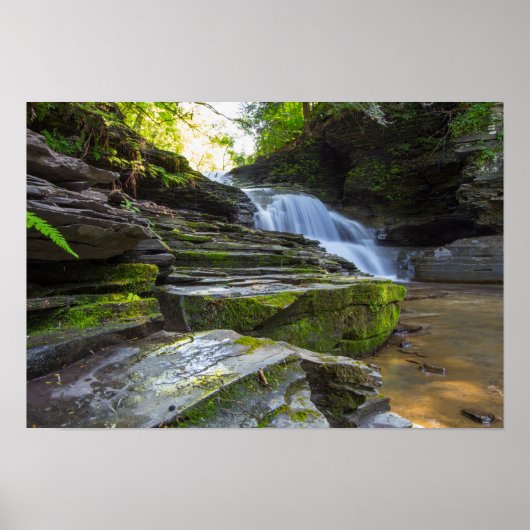 Old Mill Herfsten, Robert Treman State Park, NY Poster (Voorkant)