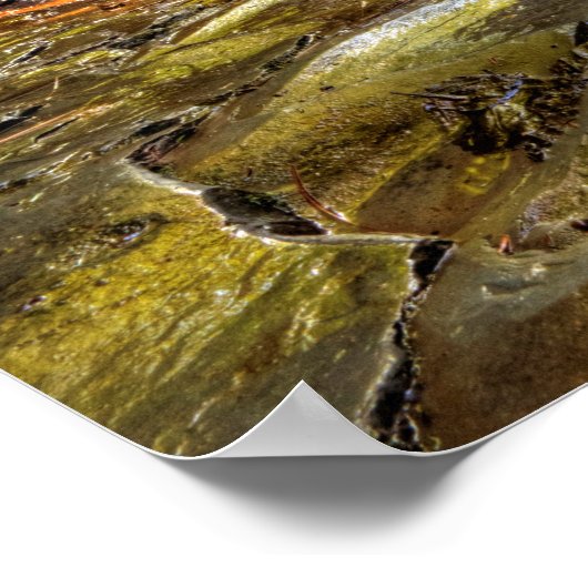 Old Mill Herfsten, Robert Treman State Park, NY Poster (Hoek)