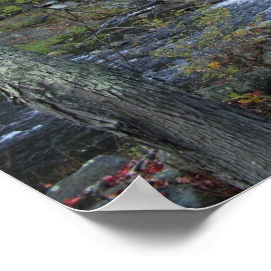 Old Mill Vermont Poster and Print (Hoek)