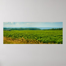 Old Mission Peninsula, Michigan