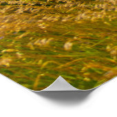 Old Mission Peninsula, Michigan Poster (Hoek)