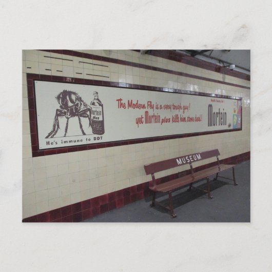 Old Mortein Ad in Museum Postcard Briefkaart (Voorkant)