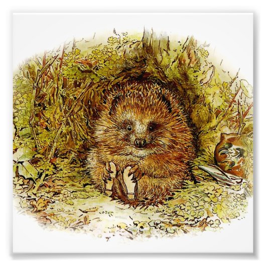 "Old Mr Pricklepin" van Beatrix Potter Foto Afdruk (Voorkant)