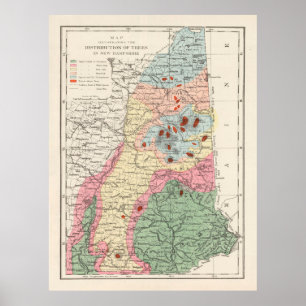 Old New Hampshire Tree Species Map (1877) Poster