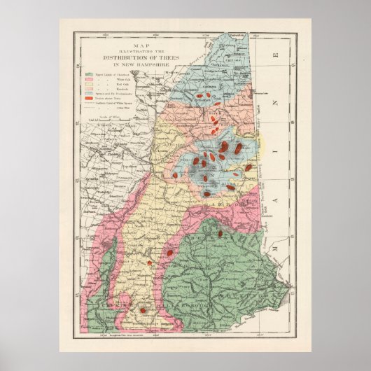 Old New Hampshire Tree Species Map (1877) Poster (Voorkant)