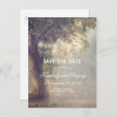 Old Oak Tree en String Lights Bewaar de datum Aankondigingskaart (Voorkant / Achterkant)
