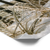 Old Orchard Beach Maine Poster (Hoek)