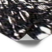 Old Paper Coconut Tree, Bahamas Poster (Hoek)