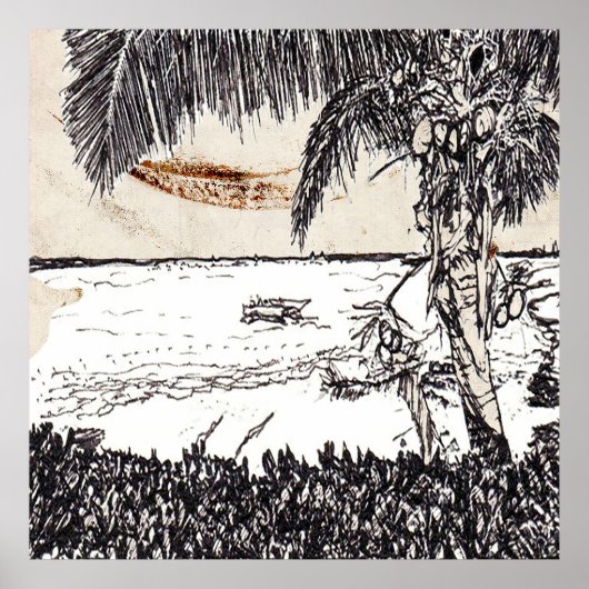 Old Paper Coconut Tree, Bahamas Poster (Voorkant)
