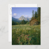 Old Park Service cabine in de Cut Bank Valley Briefkaart (Voorkant / Achterkant)
