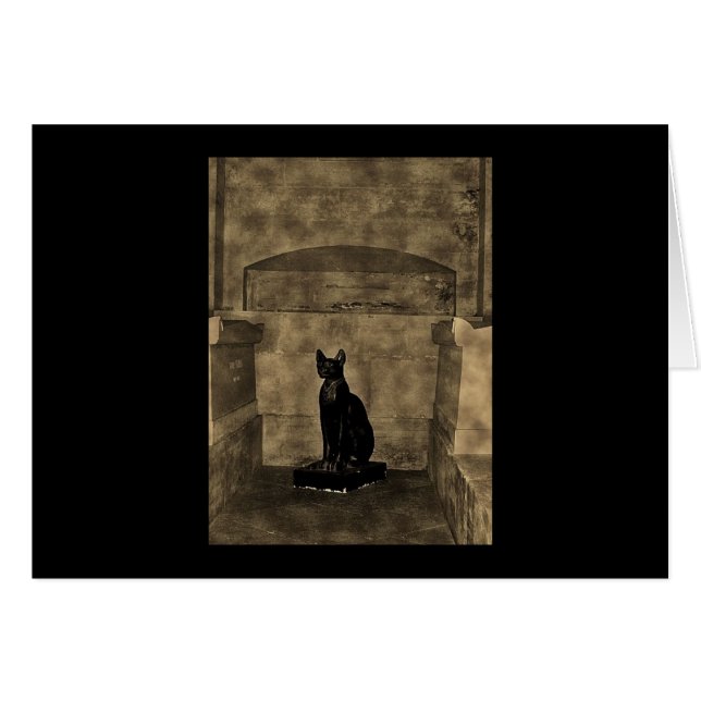 Old Photo Tomb Cat (Voorkant Horizontaal)