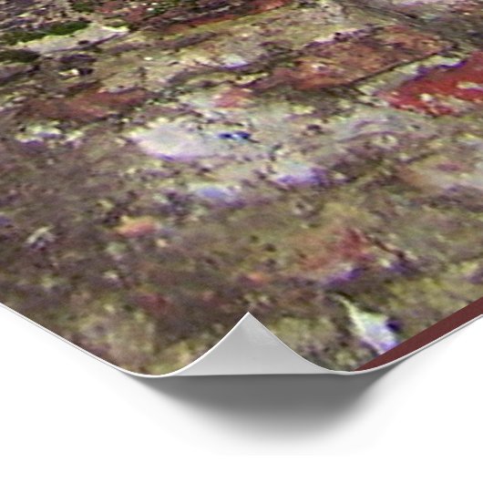 Old Pink Door Poster (Hoek)