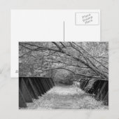 Old Railroad Bridge Briefkaart (Voorkant / Achterkant)