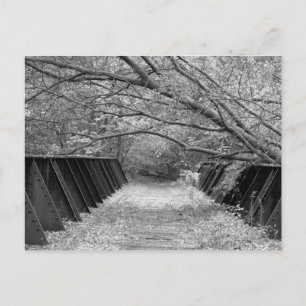 Old Railroad Bridge Briefkaart