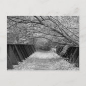 Old Railroad Bridge Briefkaart (Voorkant)