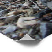 Old Railroad Yard Poster (Hoek)