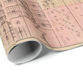 Old Rochester MN Map (1874)  Minnesota City Cadeaupapier (Rol Hoek)