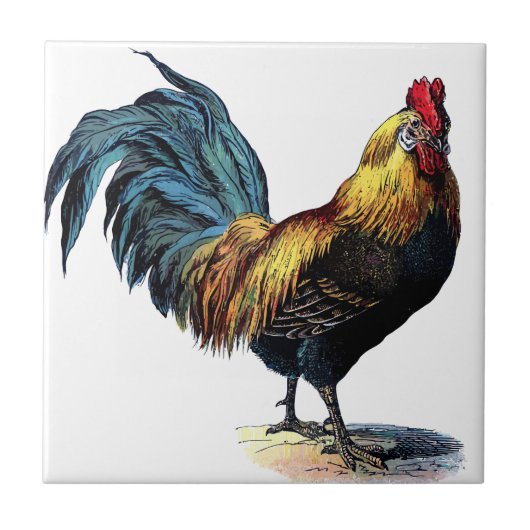 OLD ROOSTER TEGELTJE (Voorkant)