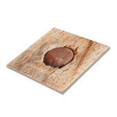 Old Rusty Nail Ceramic Photo Tile Tegeltje (Zijkant)