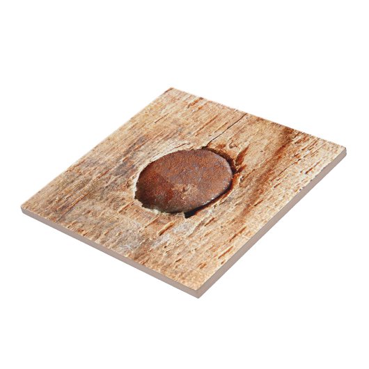 Old Rusty Nail Ceramic Photo Tile Tegeltje (Zijkant)
