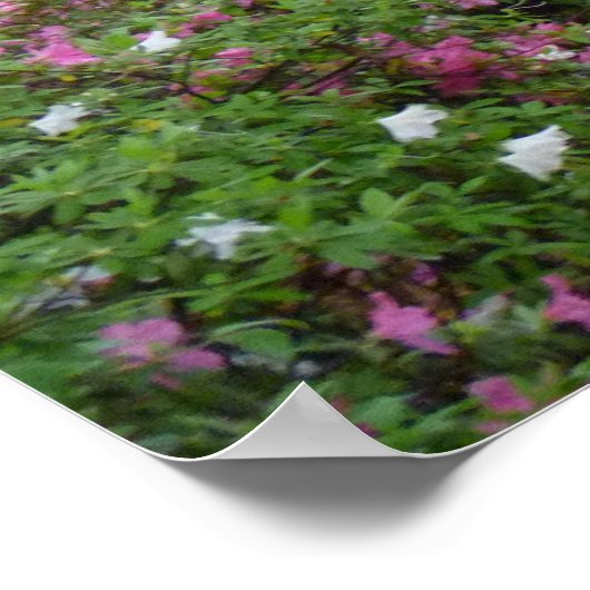 Old Savannah Poster (Hoek)