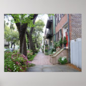 Old Savannah Poster (Voorkant)