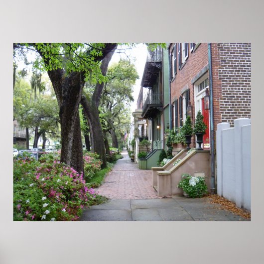 Old Savannah Poster (Voorkant)