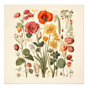 old-school bloemen foto afdruk