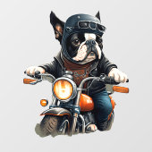 Old School Franse Bulldog Lil Biker Dude Raamsticker (Vel)
