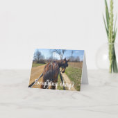 Old School Paper Kaarten van Hags met Nags (Voorkant)