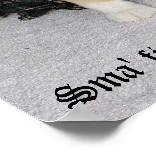 Old Scottish Fold Gezegde Poster (Hoek)