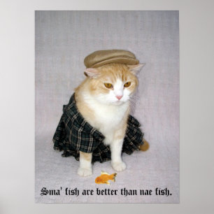 Old Scottish Fold Gezegde Poster