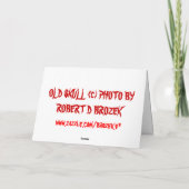 Old Skull Birthday Kaart (Achterkant)