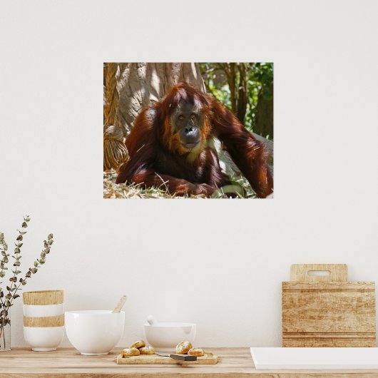 "Old Soul" Poster (Keuken)