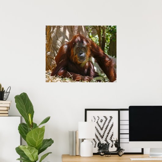 "Old Soul" Poster (Thuiskantoor)